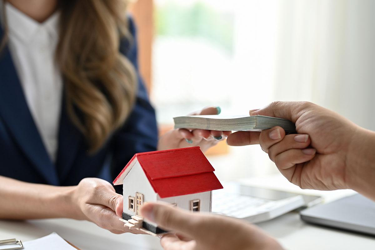 Фото: BongkarnGraphic / Shutterstock / FOTODOM