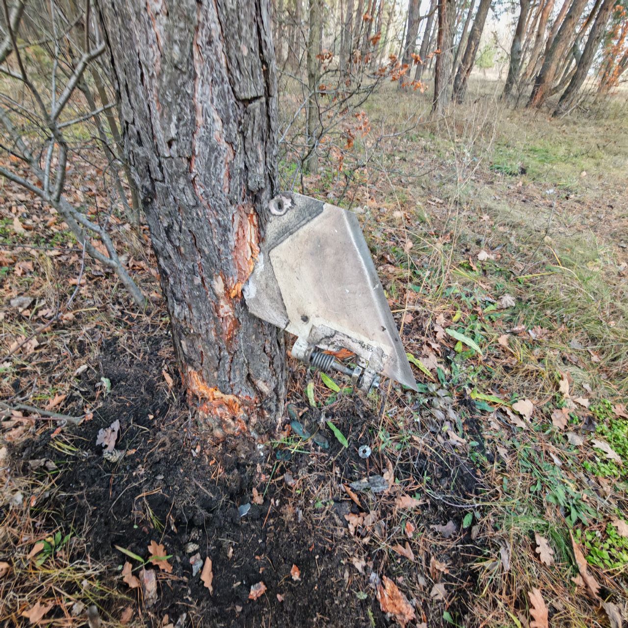 Фото: Минобороны России