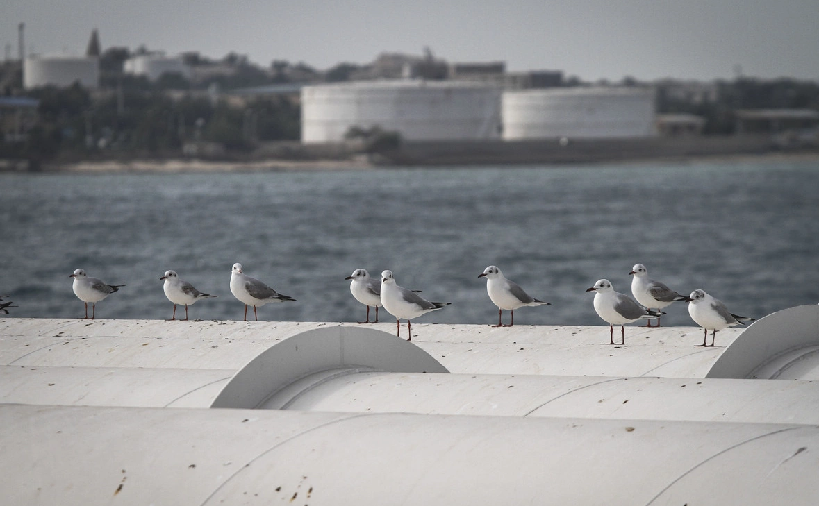 Ahmad Halabisaz / Zuma / ТАСС