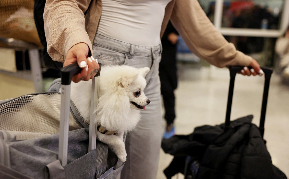 Louiza Vradi / Reuters