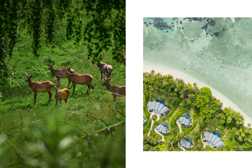 Куда поехать на майские: от маральника на Алтае до мальдивских атоллов