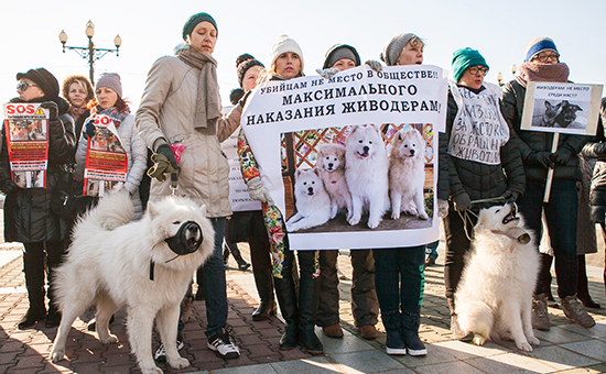 Участники пикета против жестокого обращения с животными в Хабаровске.&nbsp;29 октября 2016 года


