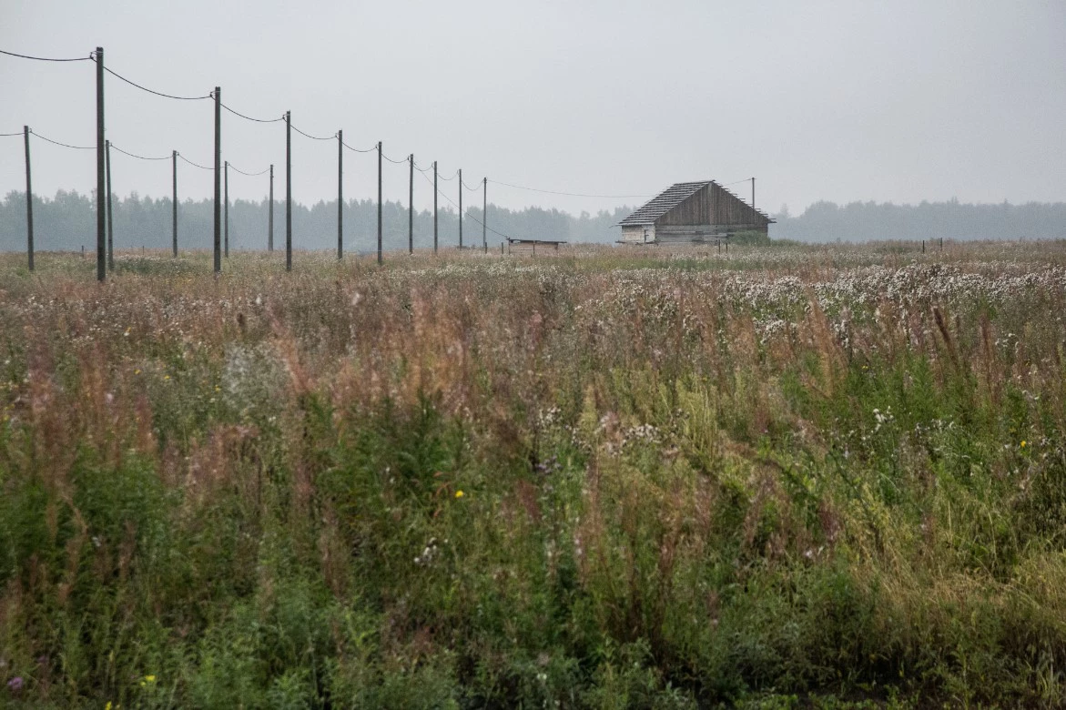 Дмитрий Ткачук / URA.RU