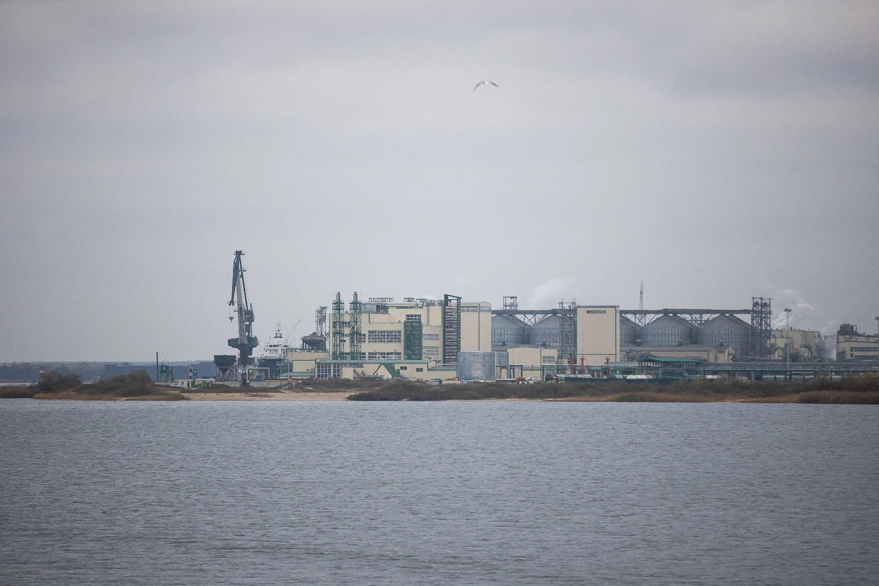 Александр Подгорчук