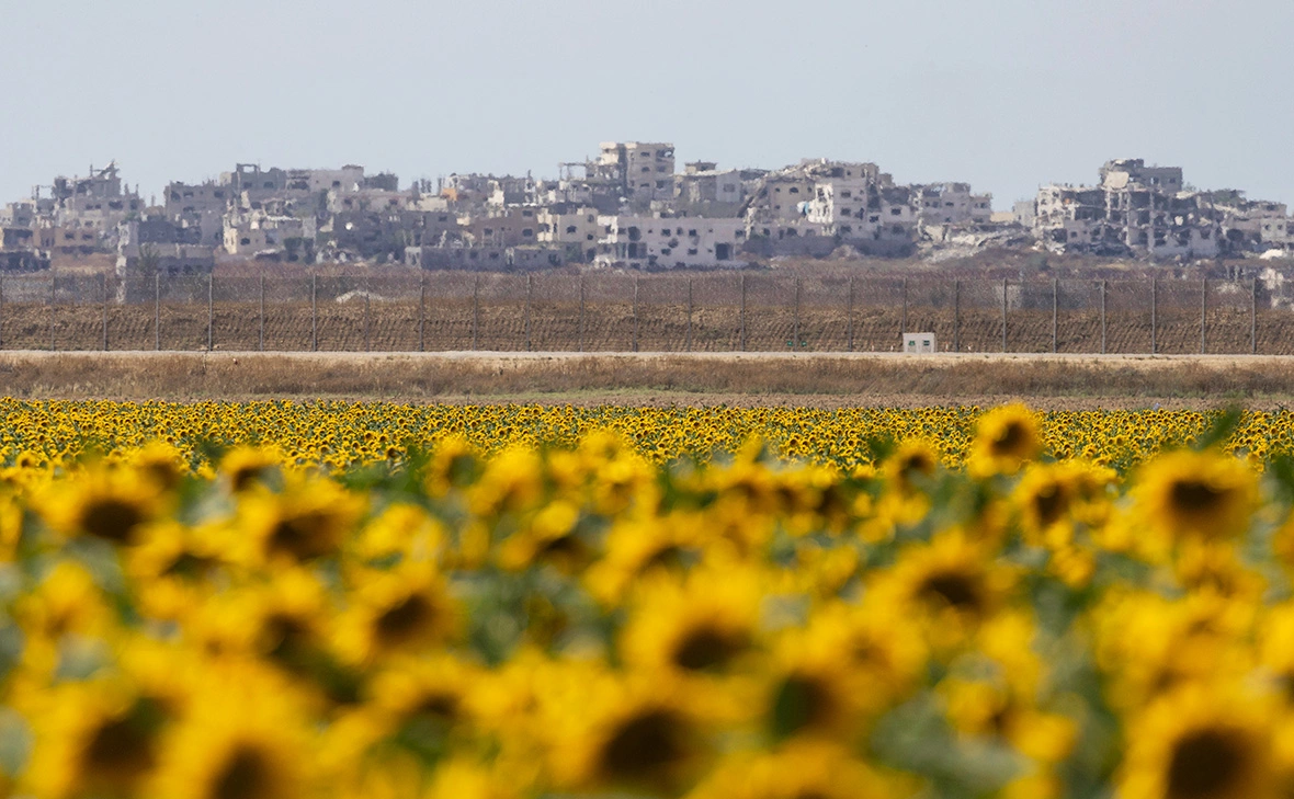 Amir Levy / Getty Images