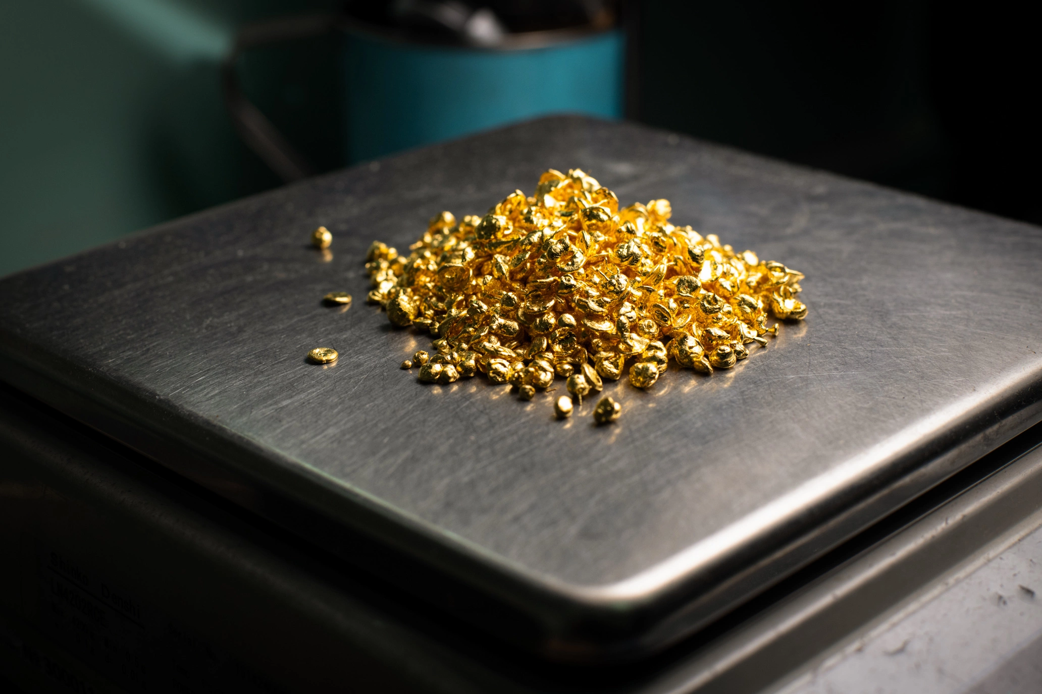 Фото: пресс-служба