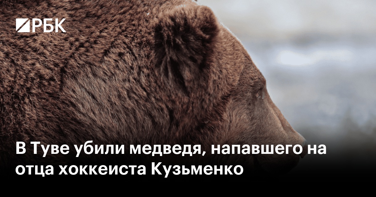 В Туве убили медведя, напавшего на отца хоккеиста Кузьменко
