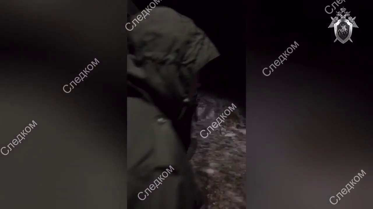 Видео:Следственный комитет РФ