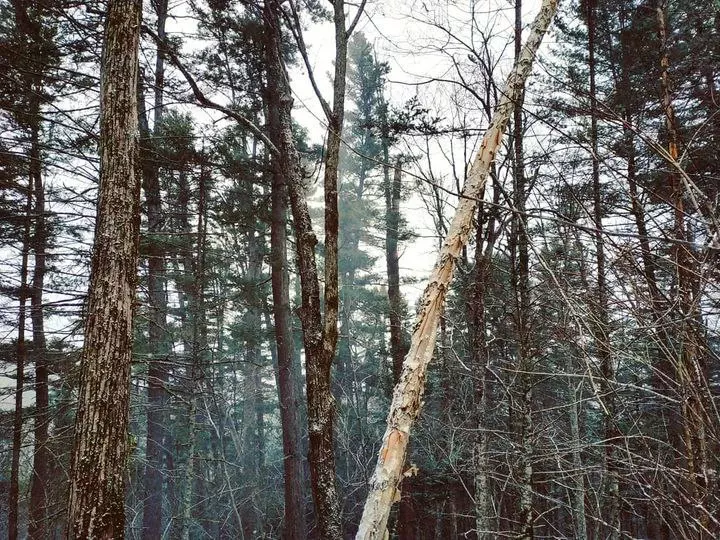 РБК Приморье