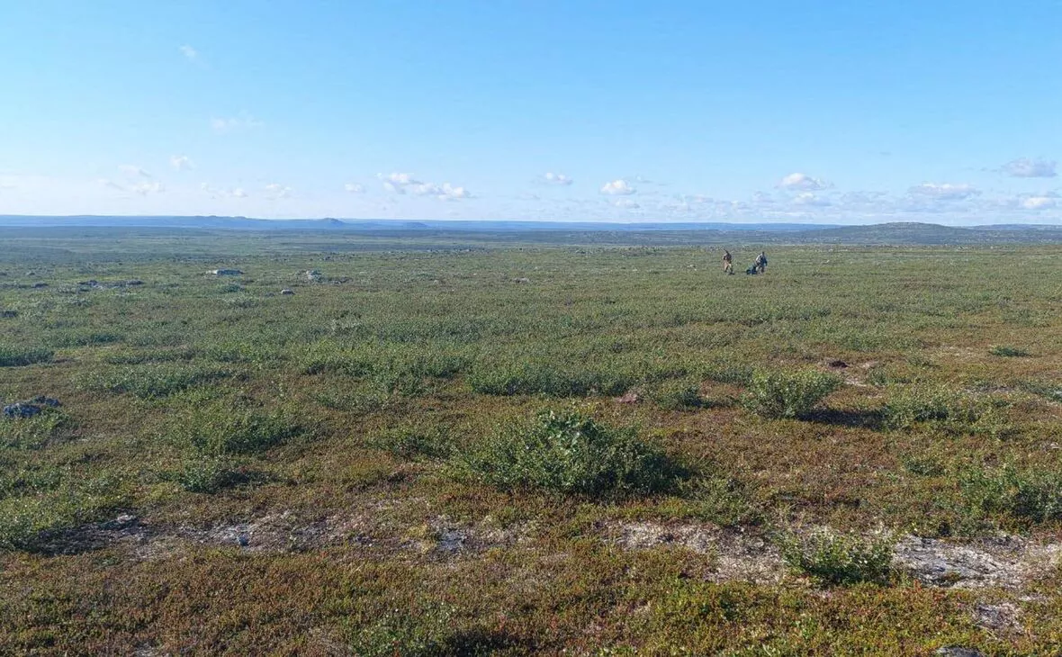 Всероссийский НИИ минерального сырья имени Н. М. Федоровского