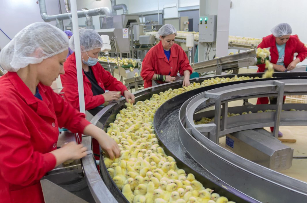 Илья Московец / URA.RU