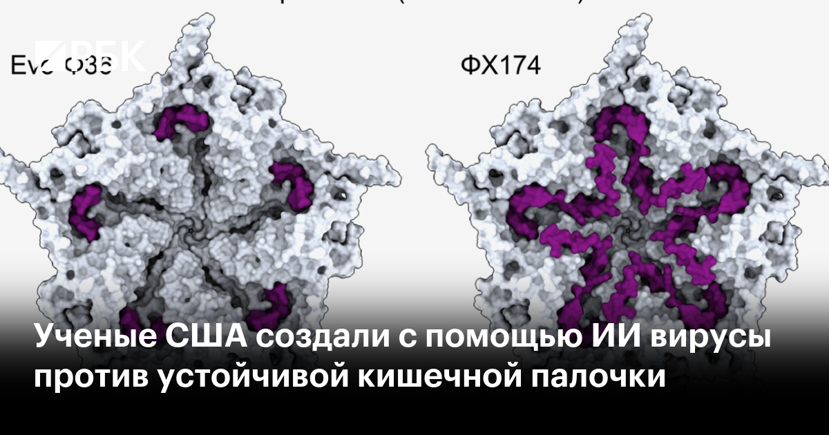 Ученые США создали с помощью ИИ вирусы против устойчивой кишечной палочки