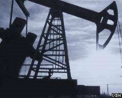 Доходы от экспорта нефти из РФ в январе-мае выросли на 40,54% 