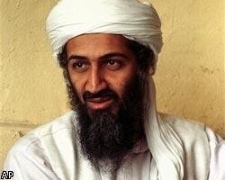 Американцы взялись за жен бен Ладена