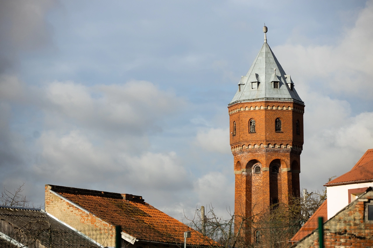 Александр Подгорчук