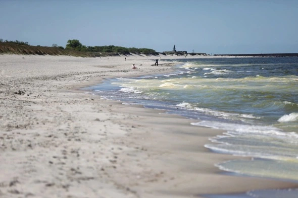 Александр Подгорчук