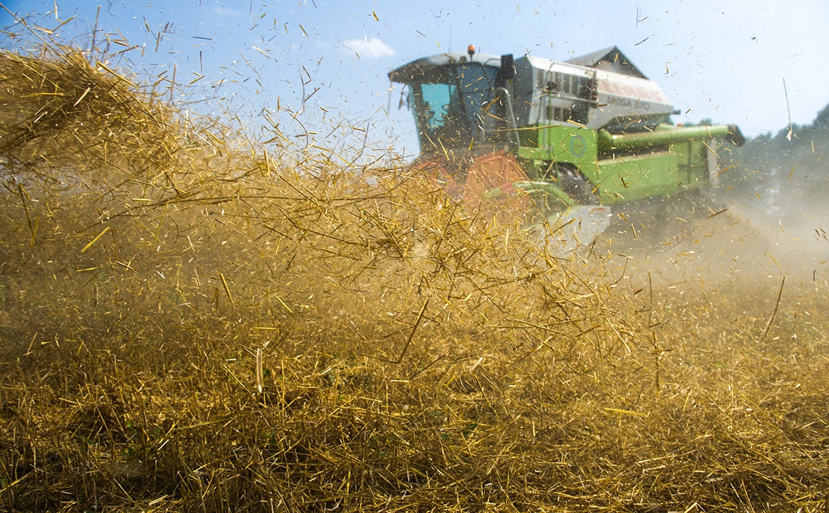 Кирилл Кухмарь / ТАСС