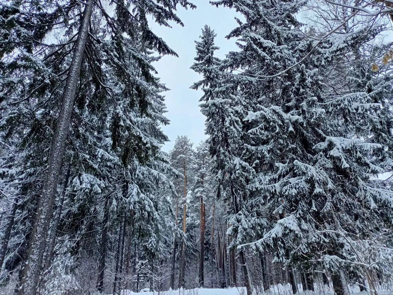 Фото: Сабрина Сафина