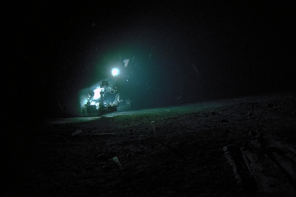 Экспедиция в Тихом океане