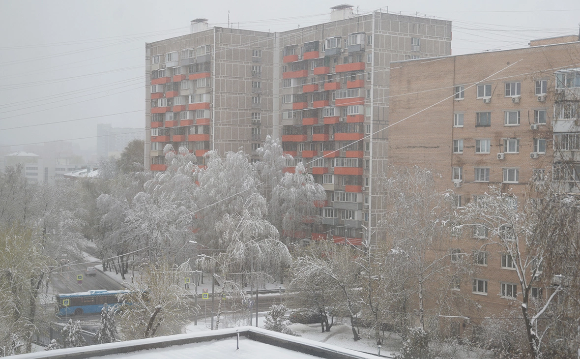Михаил Гребенщиков / РБК