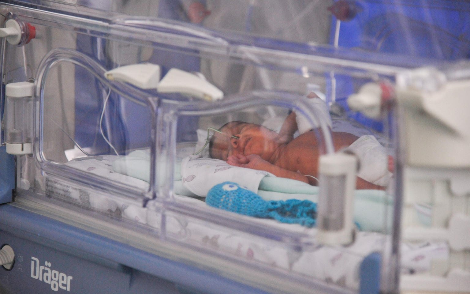 Онлайн-наблюдение за новорожденными запустили еще в трех клиниках Москвы