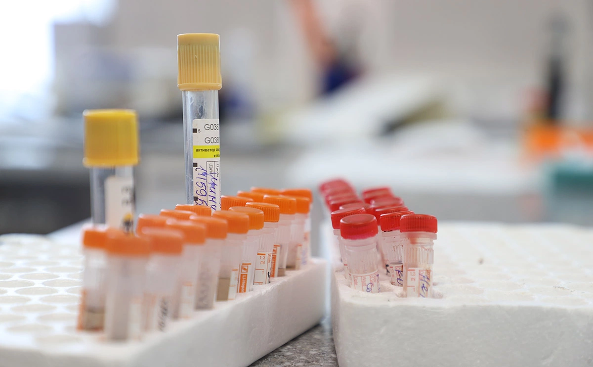 Артем Соболев / Global Look Press