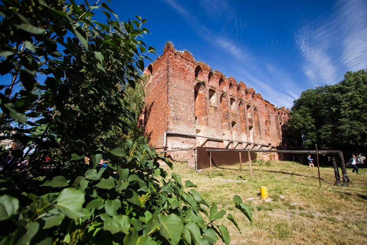 Александр Подгорчук