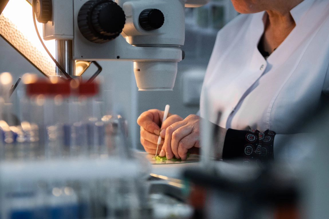 Анна Майорова / URA.RU