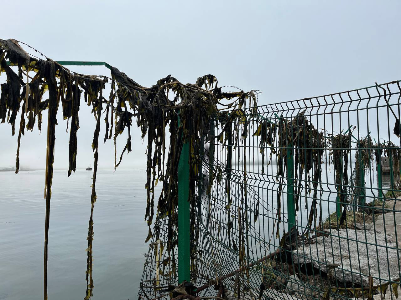 Порт Северо-Курильска после землетрясения и цунами