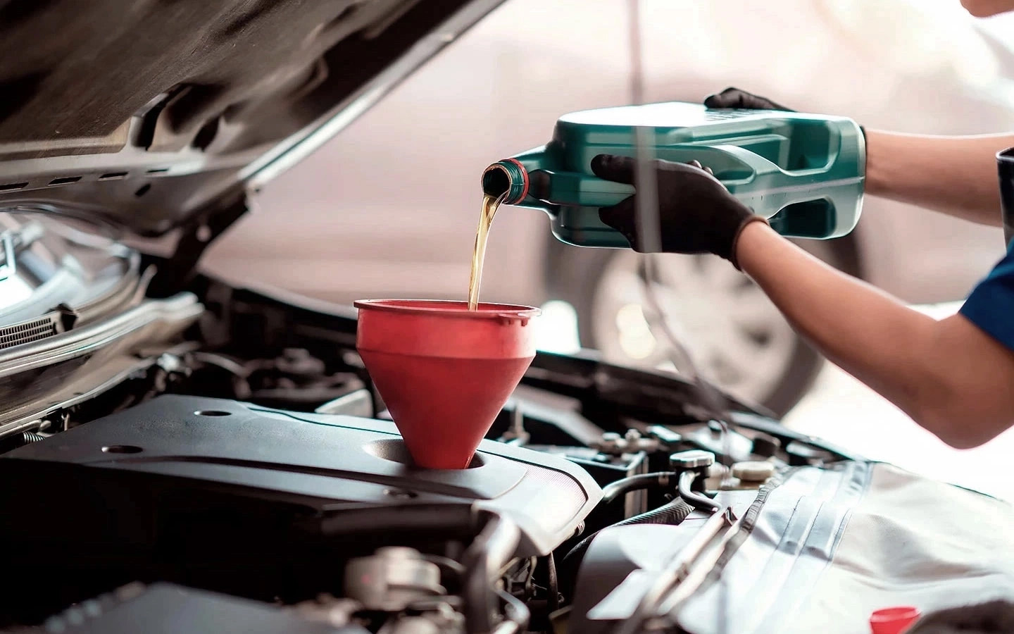 Фото: anek.soowannaphoom / Shutterstock / FOTODOM