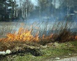 Д.Медведев отправит неэффективных чиновников на тушение пожаров