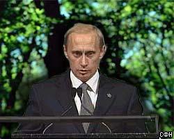 В.Путин высказался о принятии Лесного кодекса 