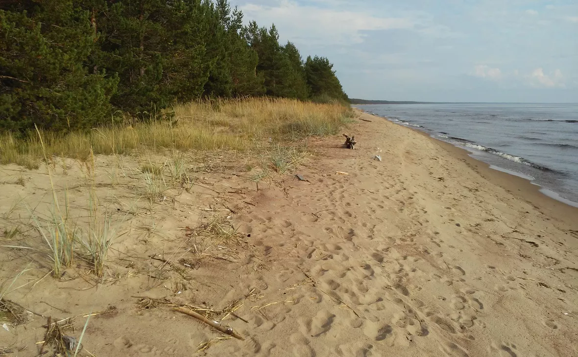 gov.karelia.ru
