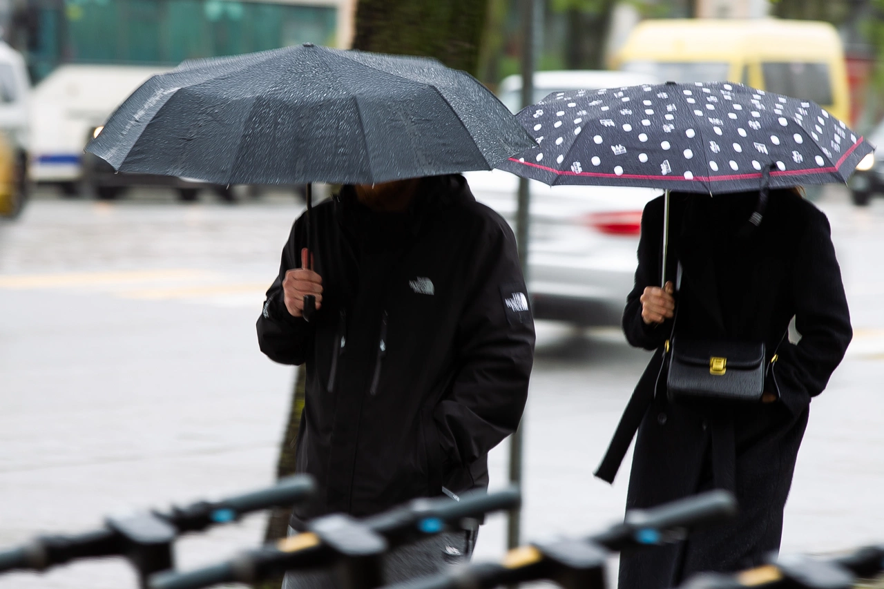 Александр Подгорчук