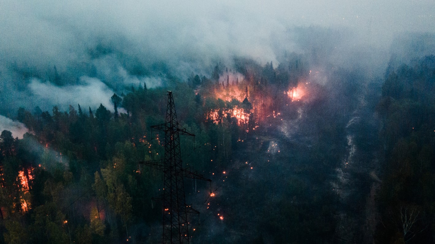 В Тюменской области два новых пожара. Карта очагов