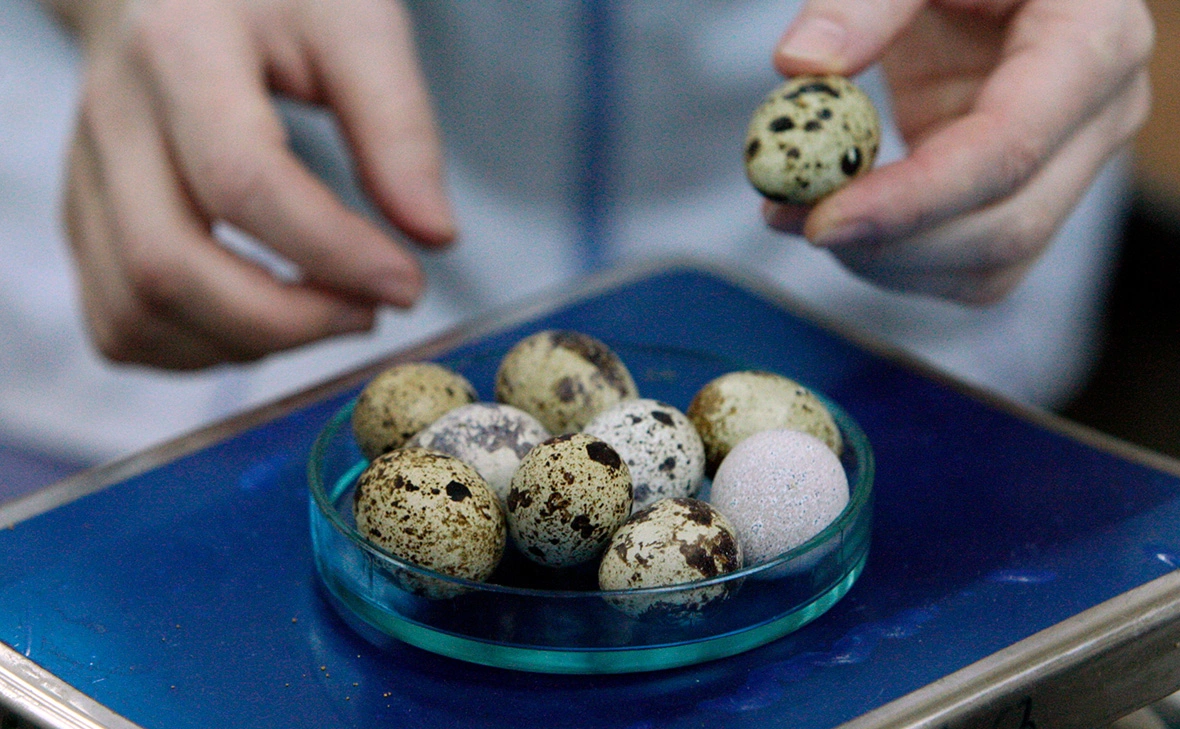 Виталий Аньков / РИА Новости