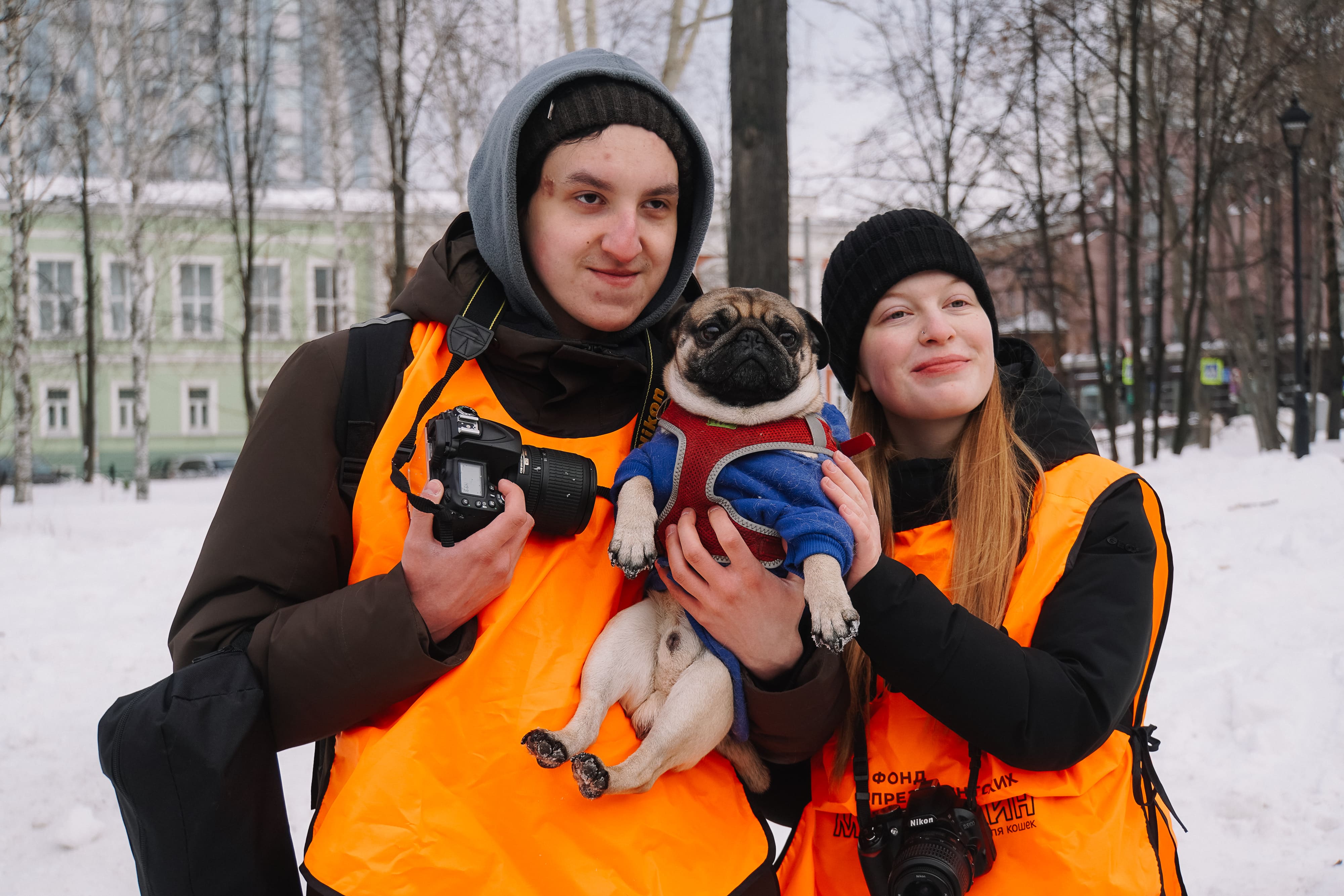 Фотогалерея: в Перми прошла благотворительная акция «Собака-обнимака» — РБК