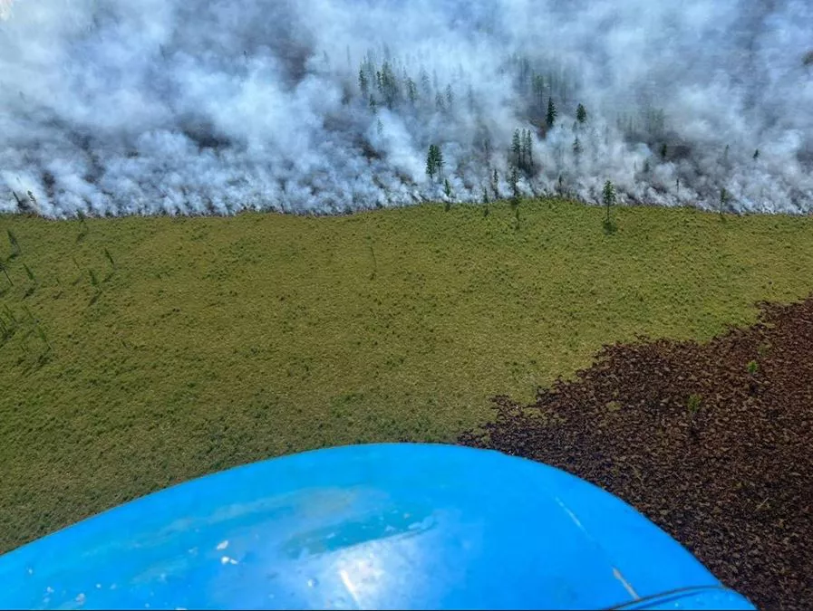 Авиалесоохрана