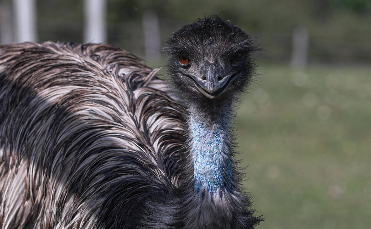 Сергей Булкин / NEWS.ru / РБК