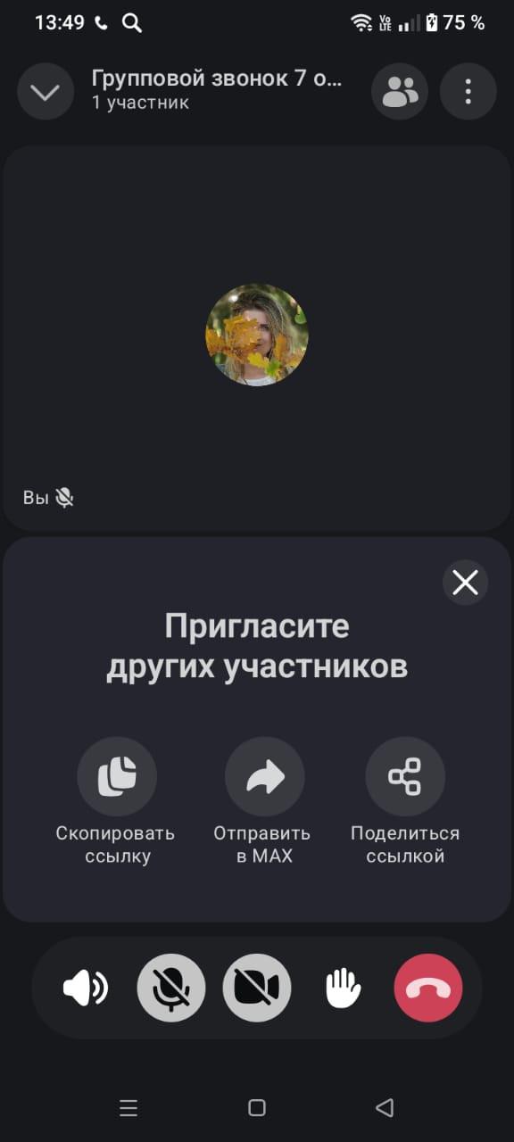 Как совершить групповой видеозвонок в мессенджере MAX