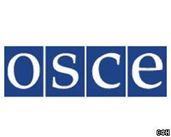 ОБСЕ не признала украинские выборы демократичными