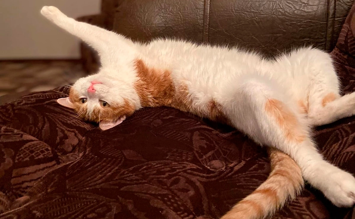 Ольга Кудряшова / VK