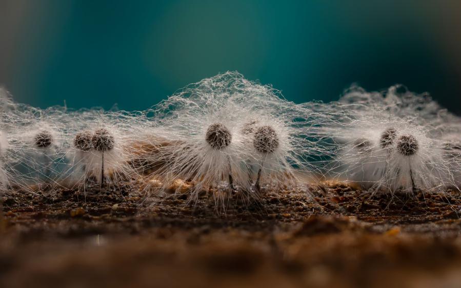 Фото: Shutterstock