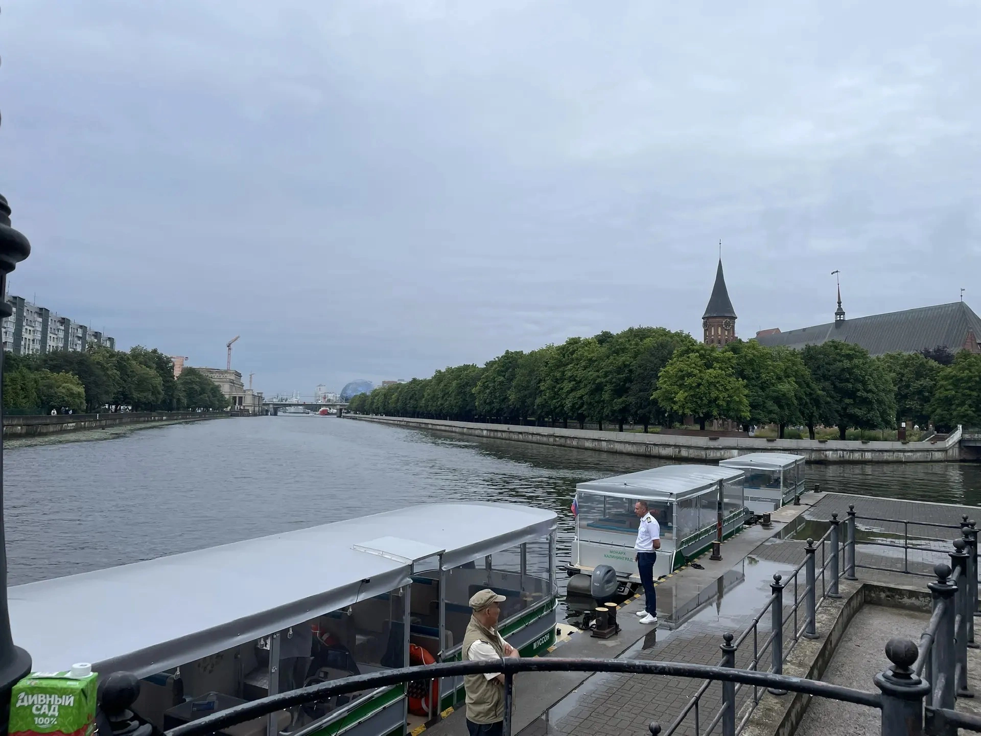 Марина Маркевич