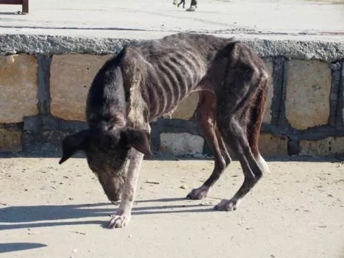 РБК Приморье