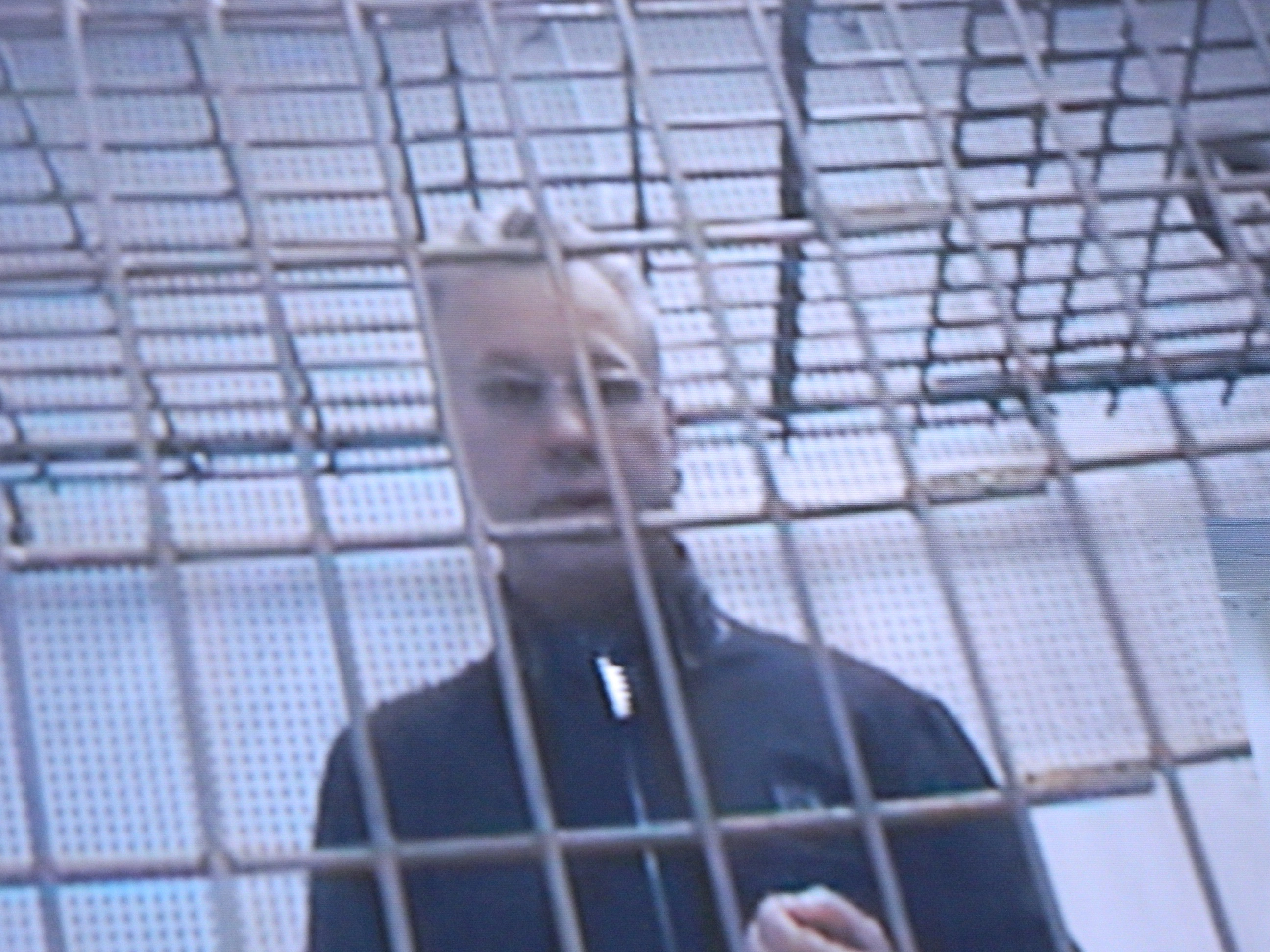 Михаил Лобанов