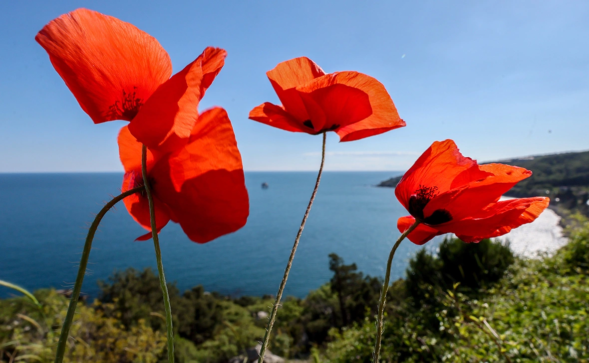 Сергей Мальгавко / ТАСС
