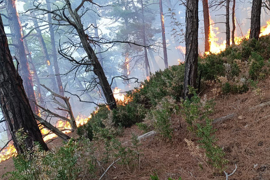 Фото: opershtab23 / Telegram