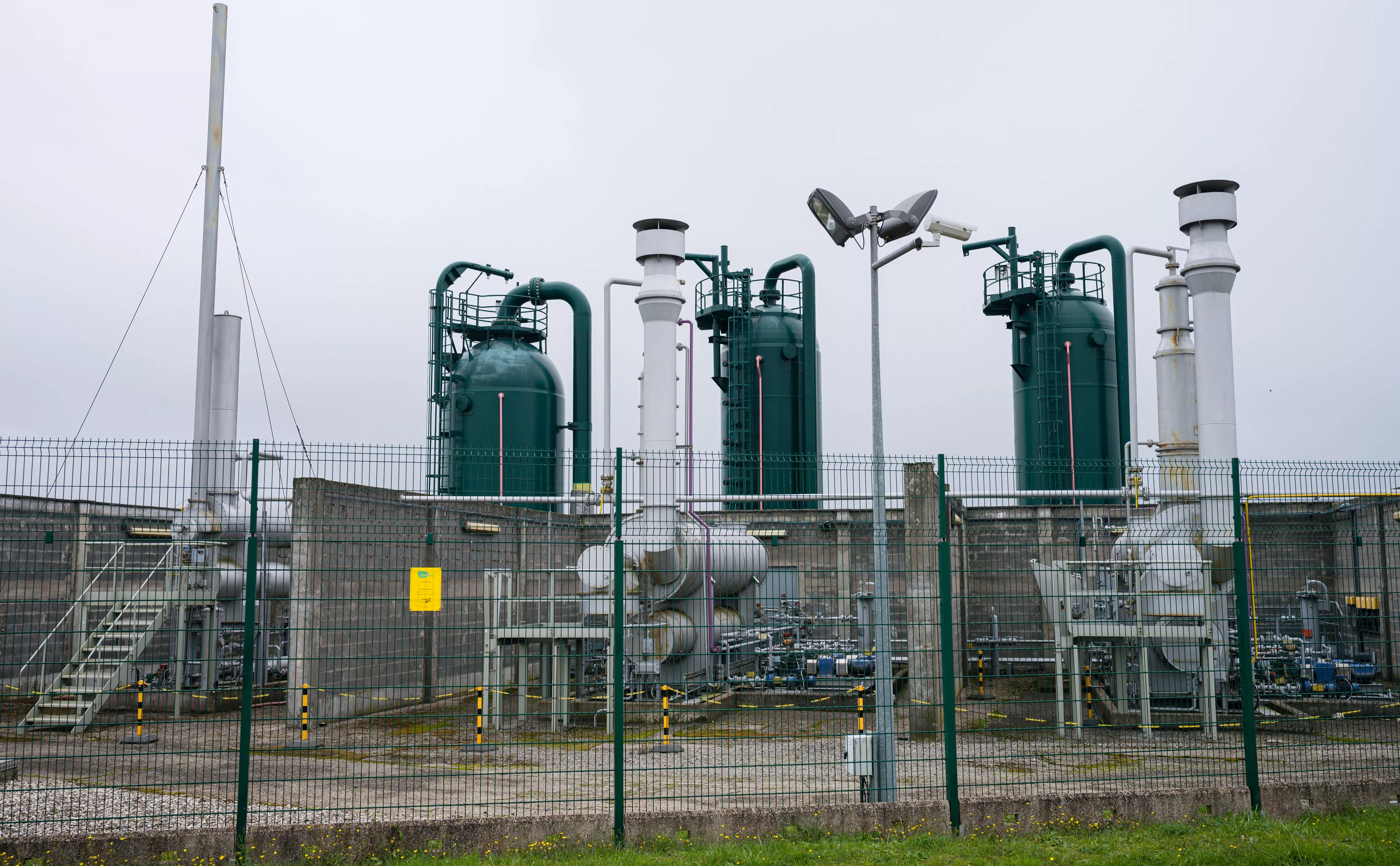 Oliver Dietze / dpa / picture-alliance / ТАСС