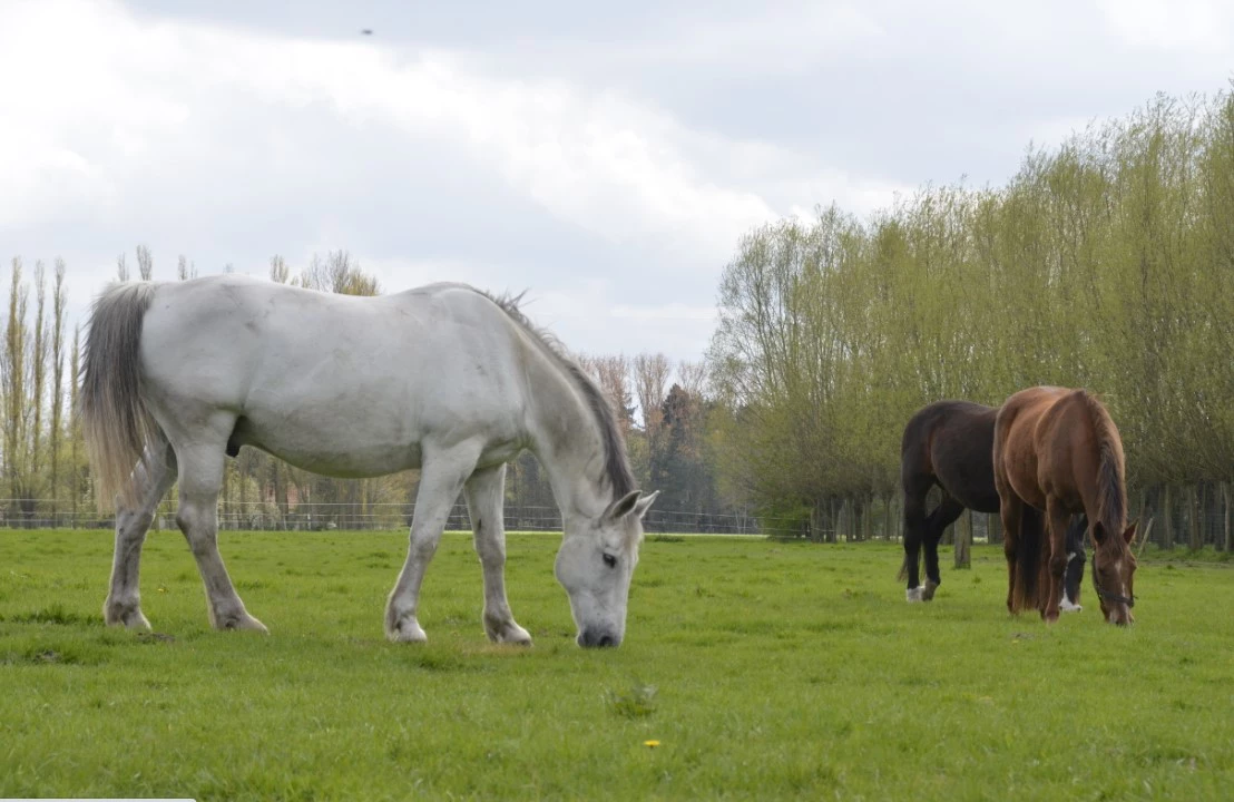 Сергей Русанов / URA.RU 